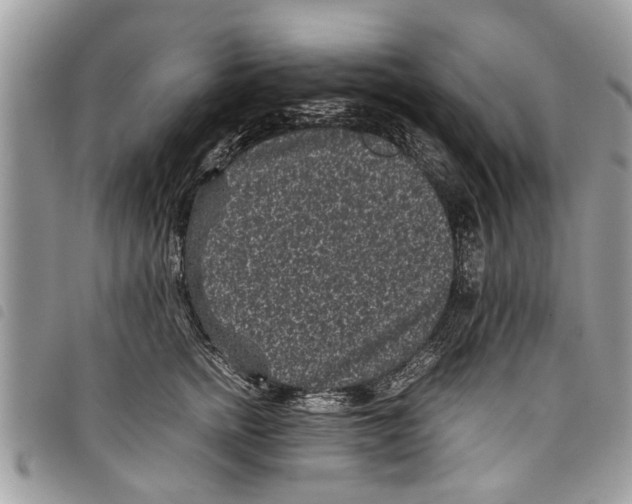 X0000097800758200804110924