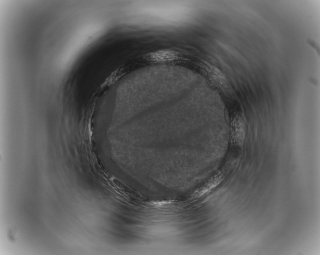 X0000097800762200804110924