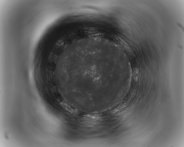 X0000097800763200804110924