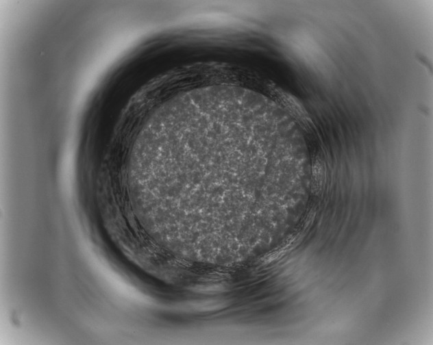 X0000097800765200804110924