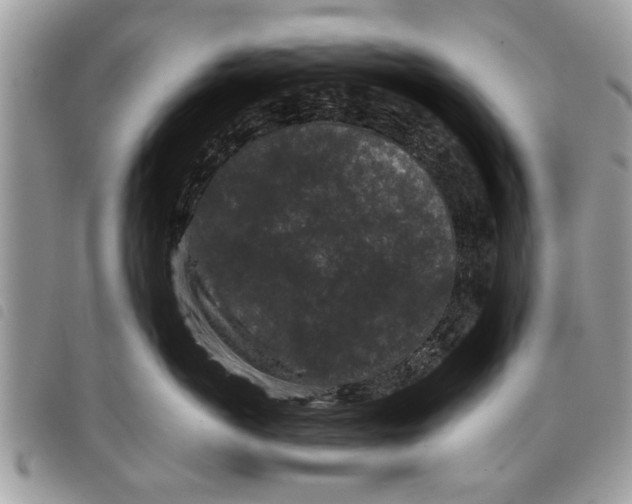 X0000097800766200804110924