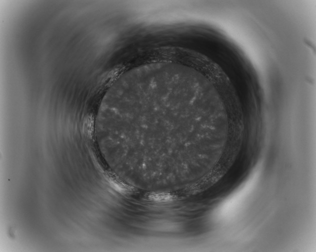 X0000097800767200804110924