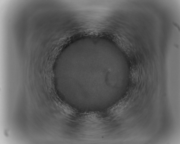 X0000097800769200804110923