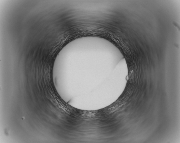 X0000097800772200804110923