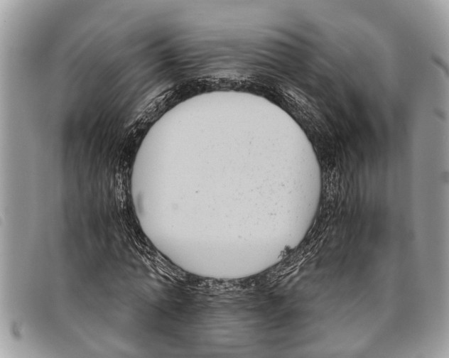 X0000097800774200804110923