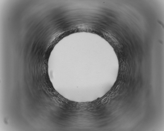 X0000097800776200804110923