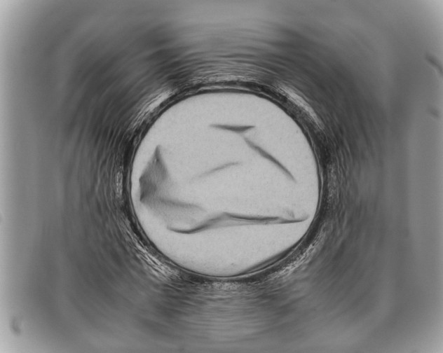 X0000097800777200804110923