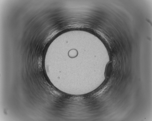 X0000097800778200804110923