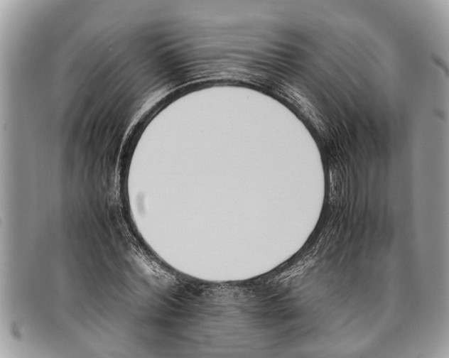 X0000097800780200804110923