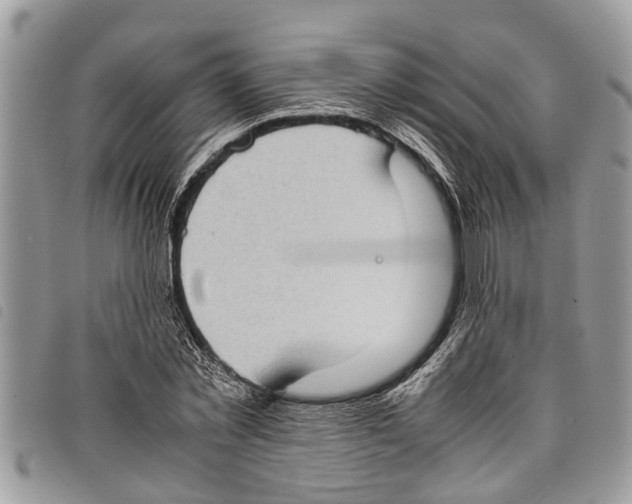 X0000097800781200804110923