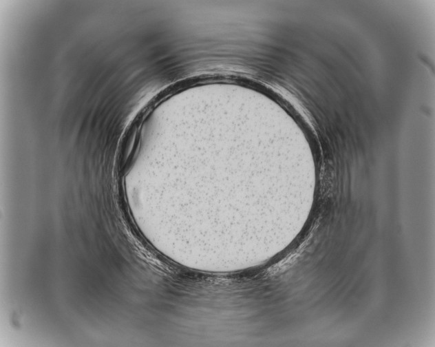 X0000097800783200804110923