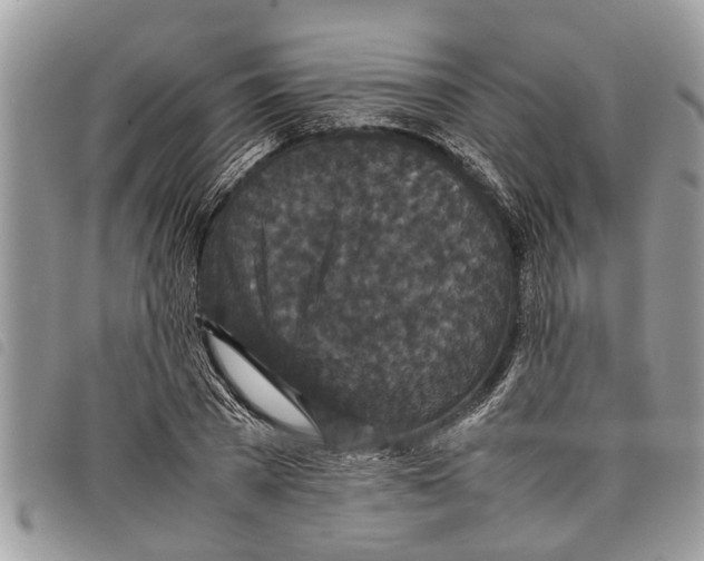 X0000097800785200804110923