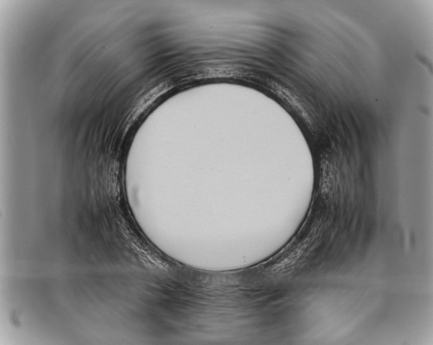 X0000097800786200804110923