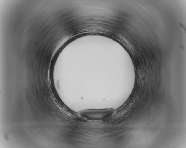 X0000097800788200804110923