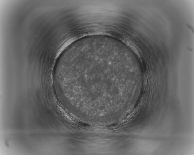 X0000097800789200804110923