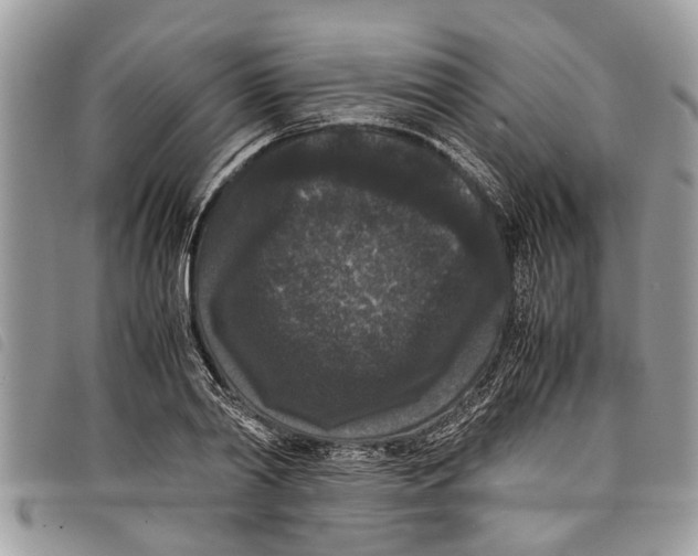 X0000097800790200804110923