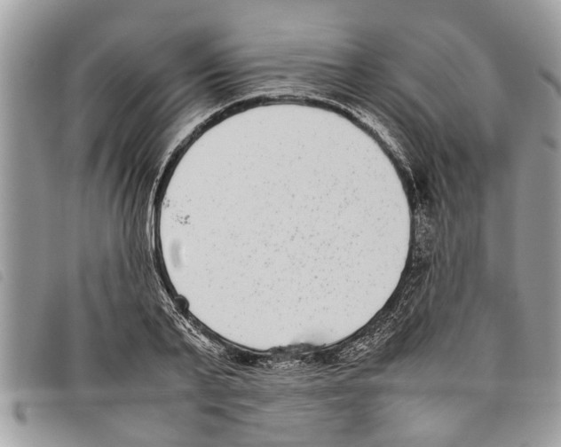 X0000097800791200804110923