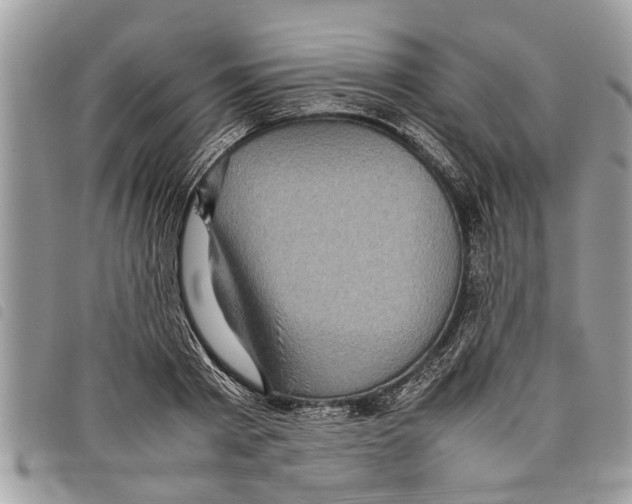 X0000097800793200804110923