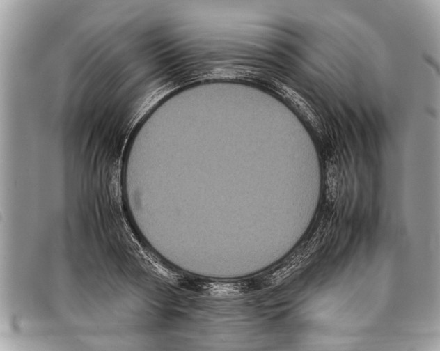 X0000097800794200804110923