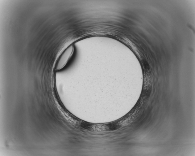 X0000097800795200804110923