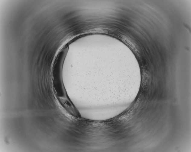 X0000097800800200804110923