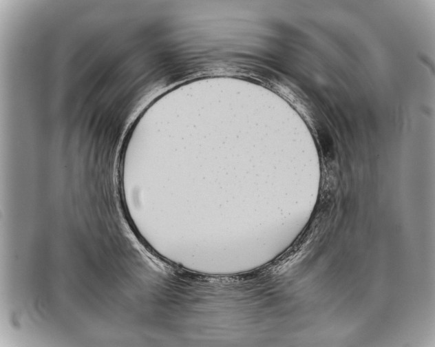 X0000097800803200804110923