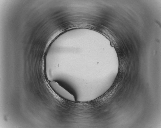 X0000097800804200804110923