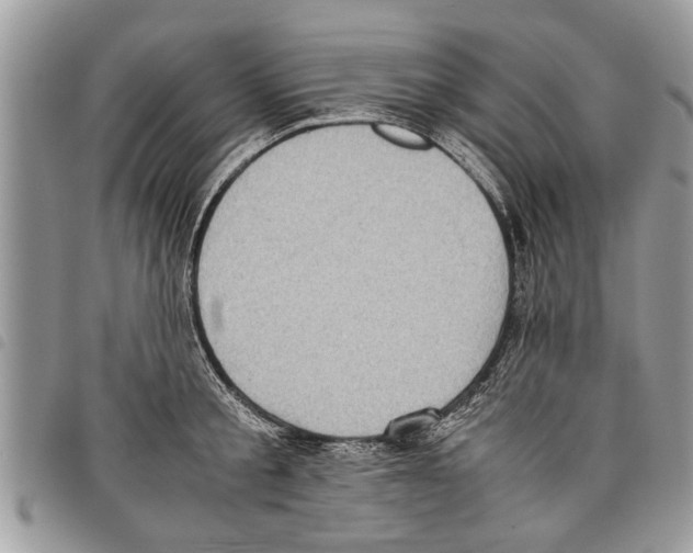 X0000097800805200804110923