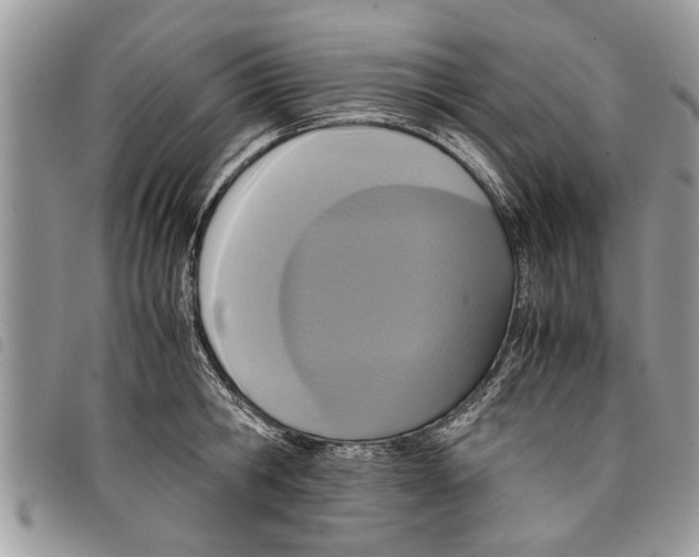 X0000097800806200804110923