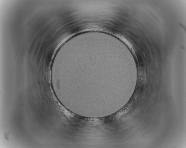 X0000097800807200804110922