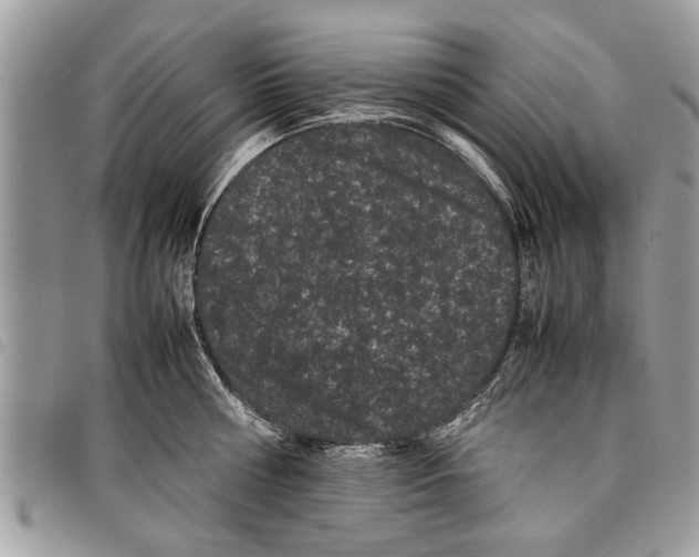 X0000097800810200804110922