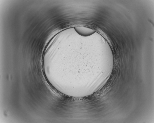 X0000097800811200804110922