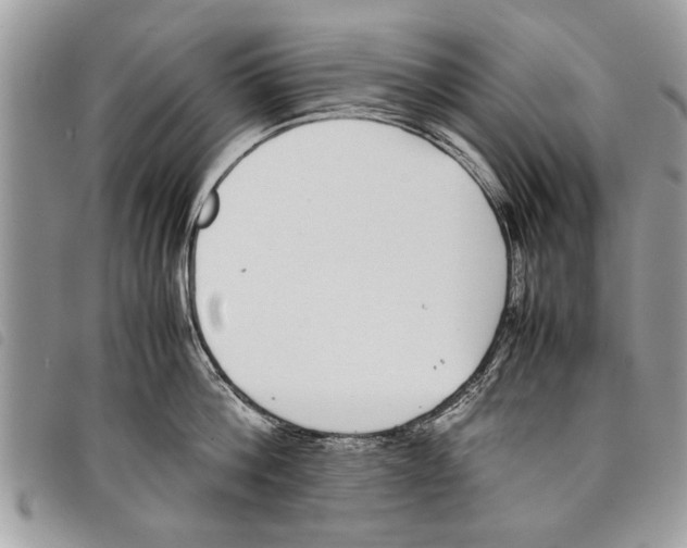 X0000097800812200804110922