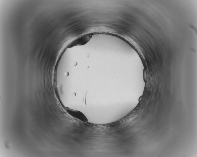 X0000097800815200804110922