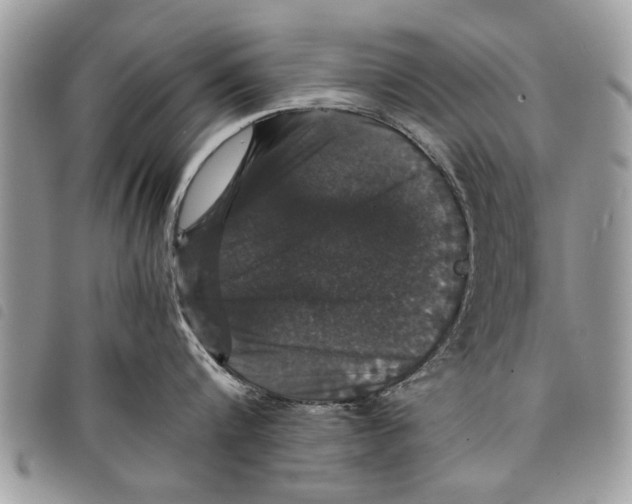 X0000097800816200804110922