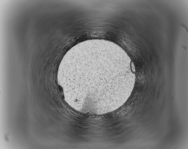 X0000097800817200804110922