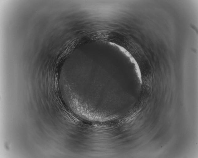 X0000097800818200804110922