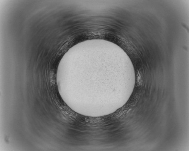 X0000097800819200804110922