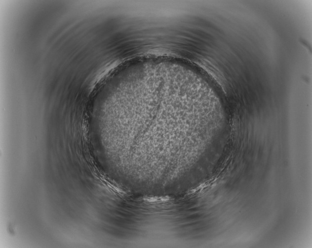 X0000097800823200804110922