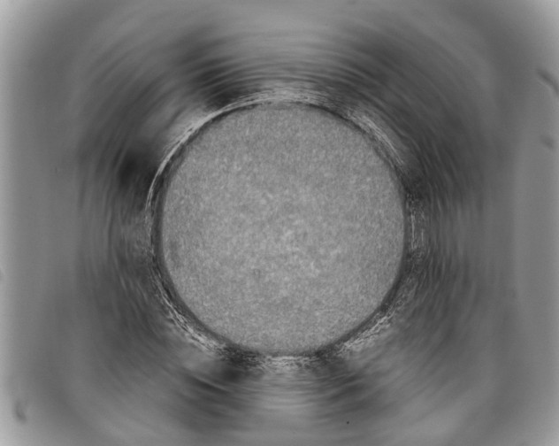 X0000097800828200804110922