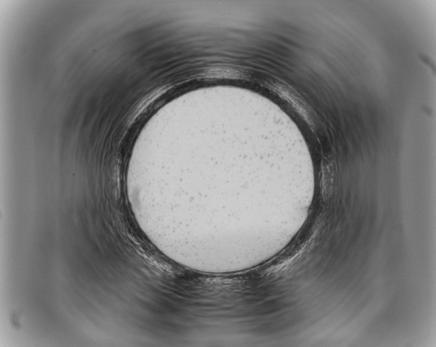 X0000097800829200804110922