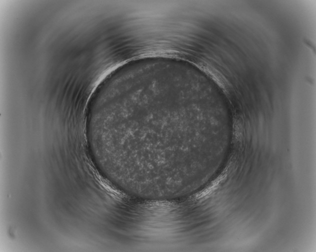 X0000097800830200804110922