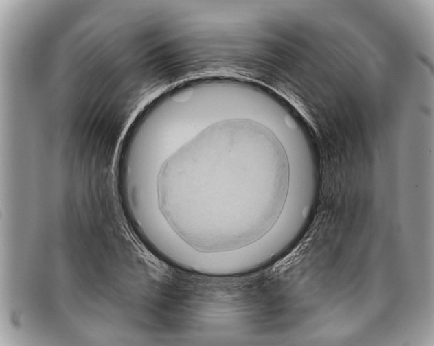 X0000097800832200804110922