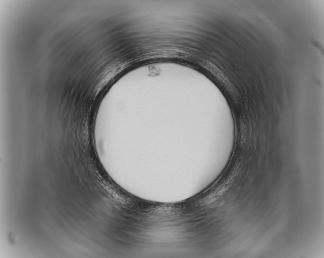 X0000097800834200804110922