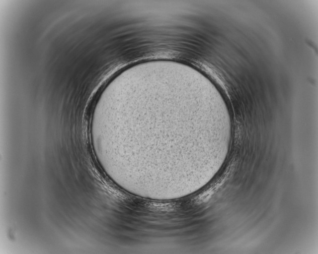 X0000097800835200804110922