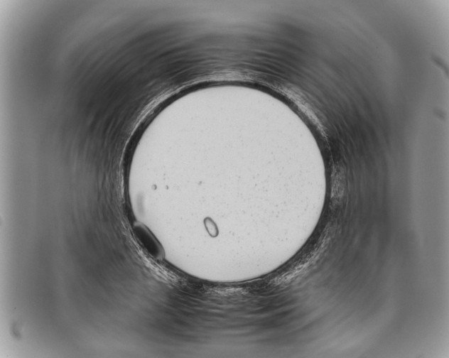 X0000097800837200804110922