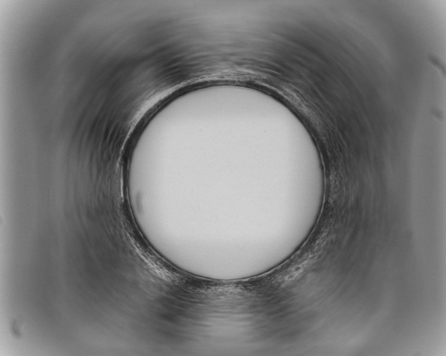 X0000097800838200804110922