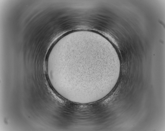 X0000097800839200804110922