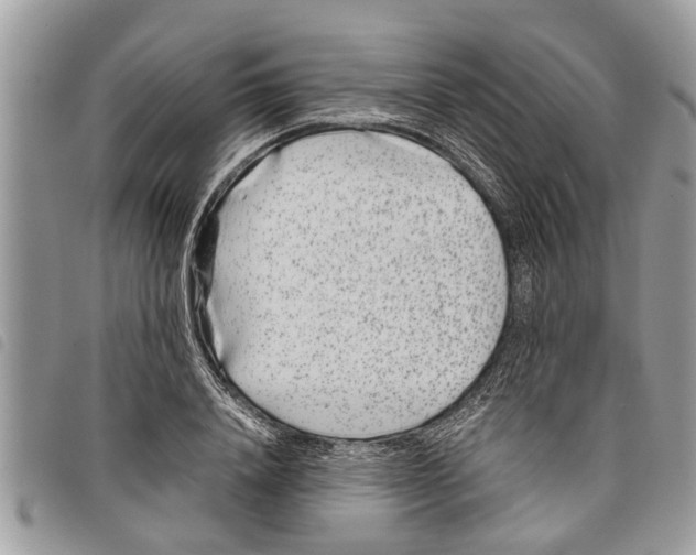 X0000097800840200804110922