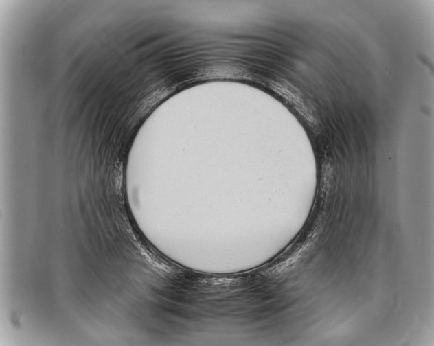 X0000097800841200804110922